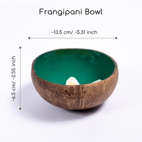 Coconut bowl frangipani hand-painted